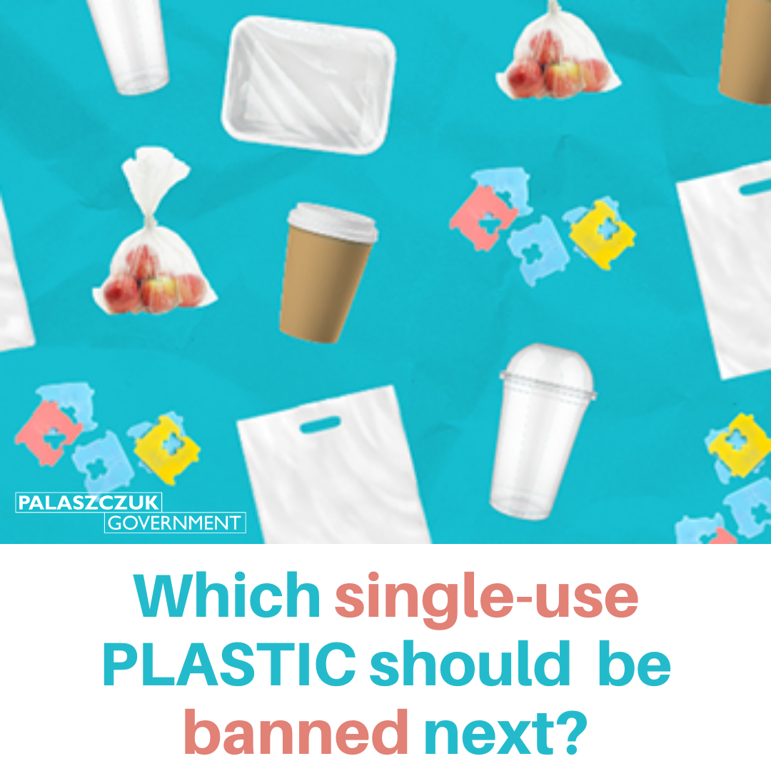 Single Use Plastics Ban: What Next? Main Image